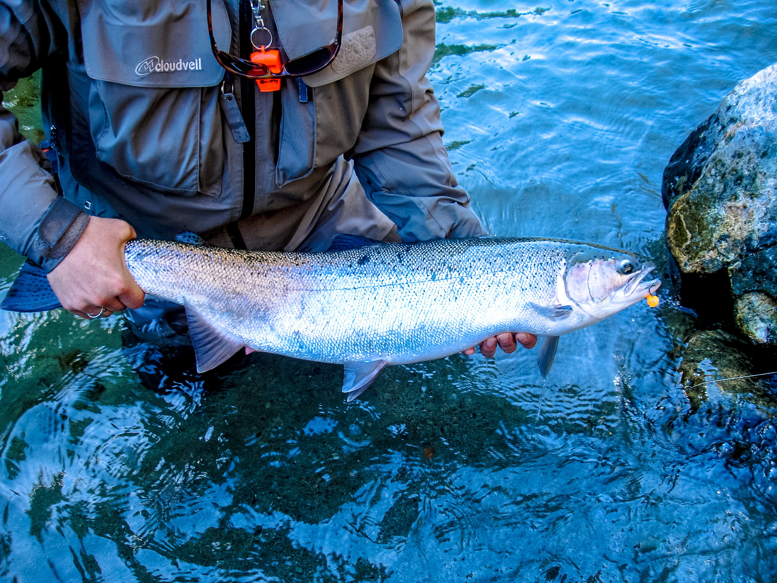 - Vancouver Island Fishing Guides